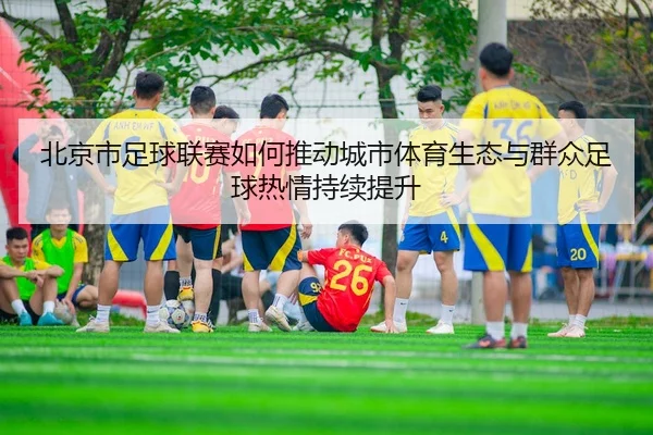 北京市足球联赛如何推动城市体育生态与群众足球热情持续提升