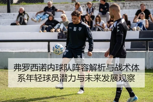 弗罗西诺内球队阵容解析与战术体系年轻球员潜力与未来发展观察