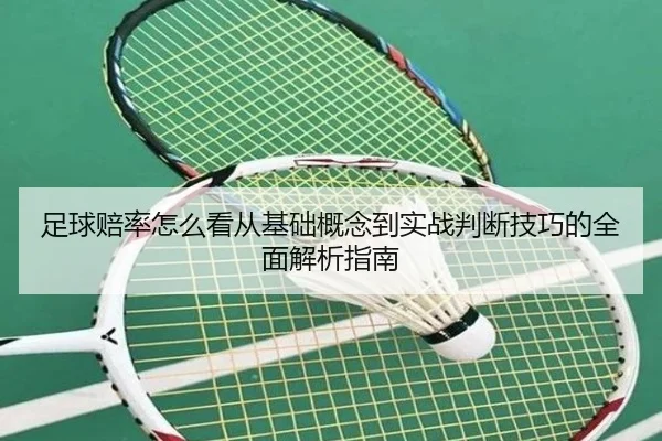 足球赔率怎么看从基础概念到实战判断技巧的全面解析指南