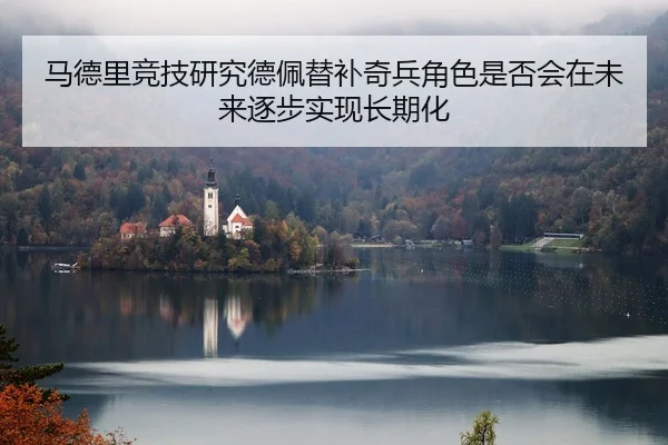ma-de-li-jing-ji-yan-jiu-de-pei-ti-bu-qi-bing-jue-se-shi-fou-hui-zai-wei-lai-zhu-bu-shi-xian-chang-qi-hua-2-225.jpg